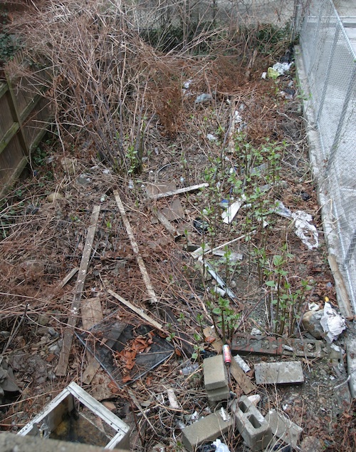 Messy townhouse garden with construction debris Messy townhouse garden with construction debris