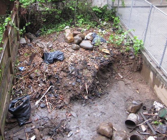 Taking debris out of townhouse garden Taking debris out of townhouse garden